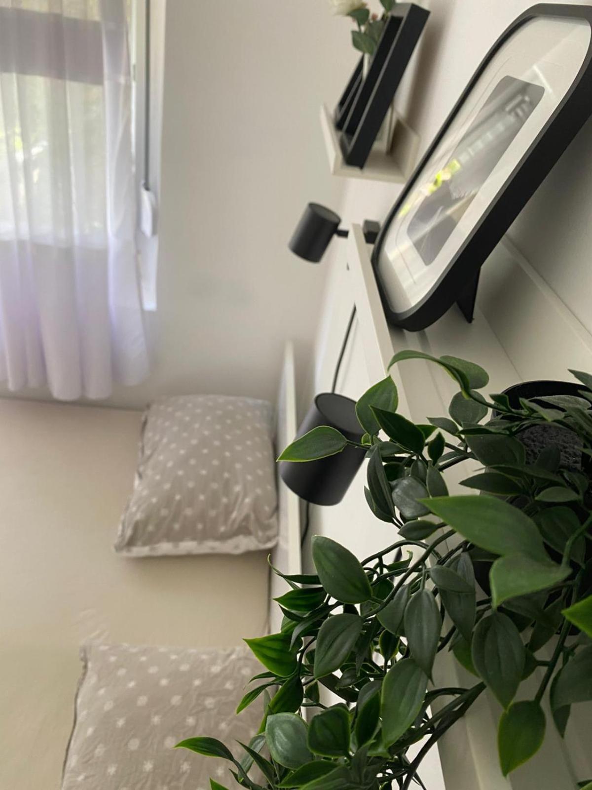 Urban Oasis Apartment Sajmiste Экстерьер фото