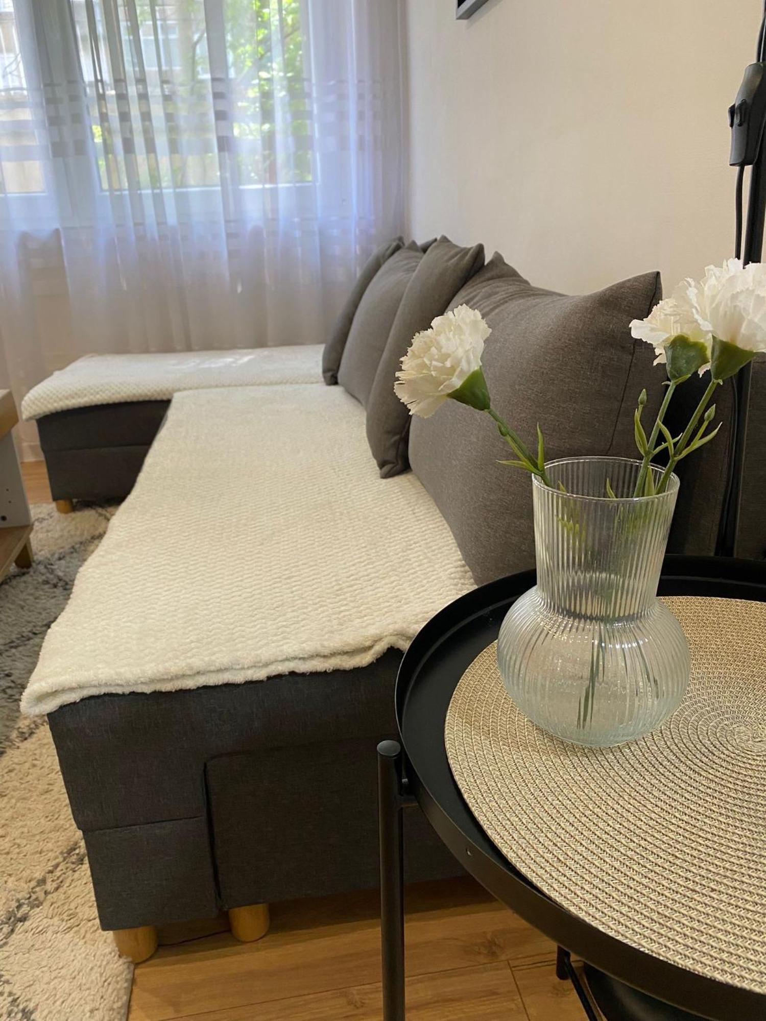 Urban Oasis Apartment Sajmiste Экстерьер фото